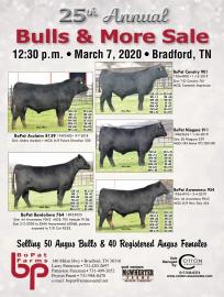 Join us on March 7th for our 25th "Bulls & More Sale"